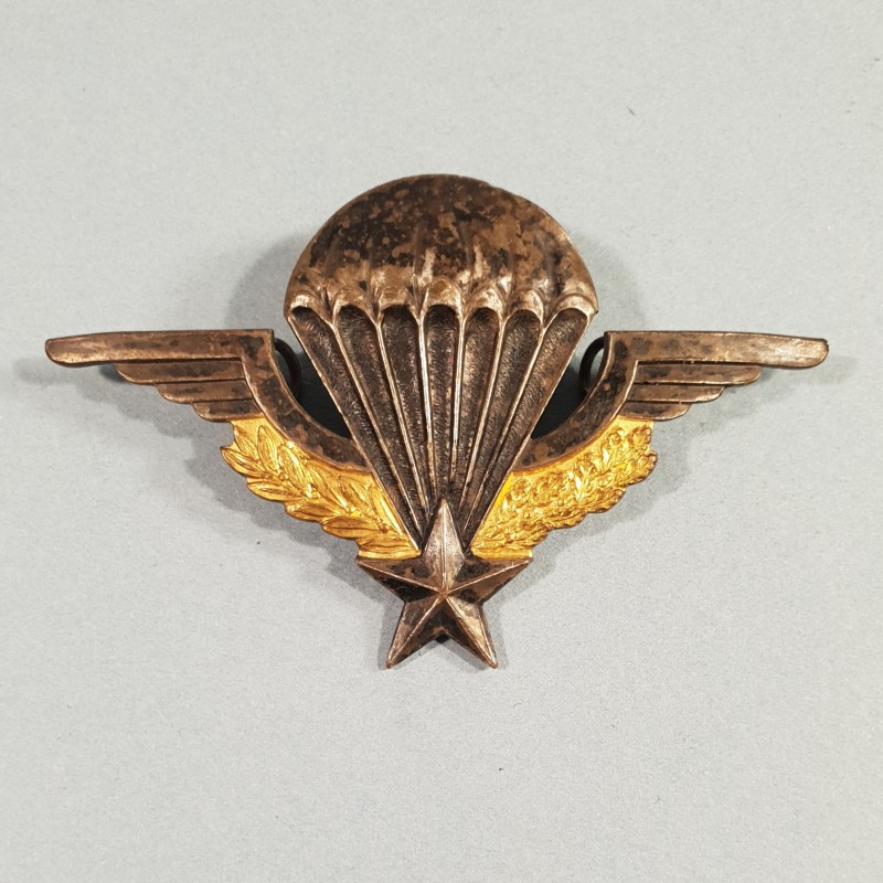 ENSEMBLE PARACHUTISTE BREVET MOURGEON NUMEROTE 326890 ANNEE 1972 TROUVE AVEC L'INSIGNE DE BERET PARA COLO